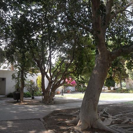 Almog Kibbutz Hotel Exterior foto